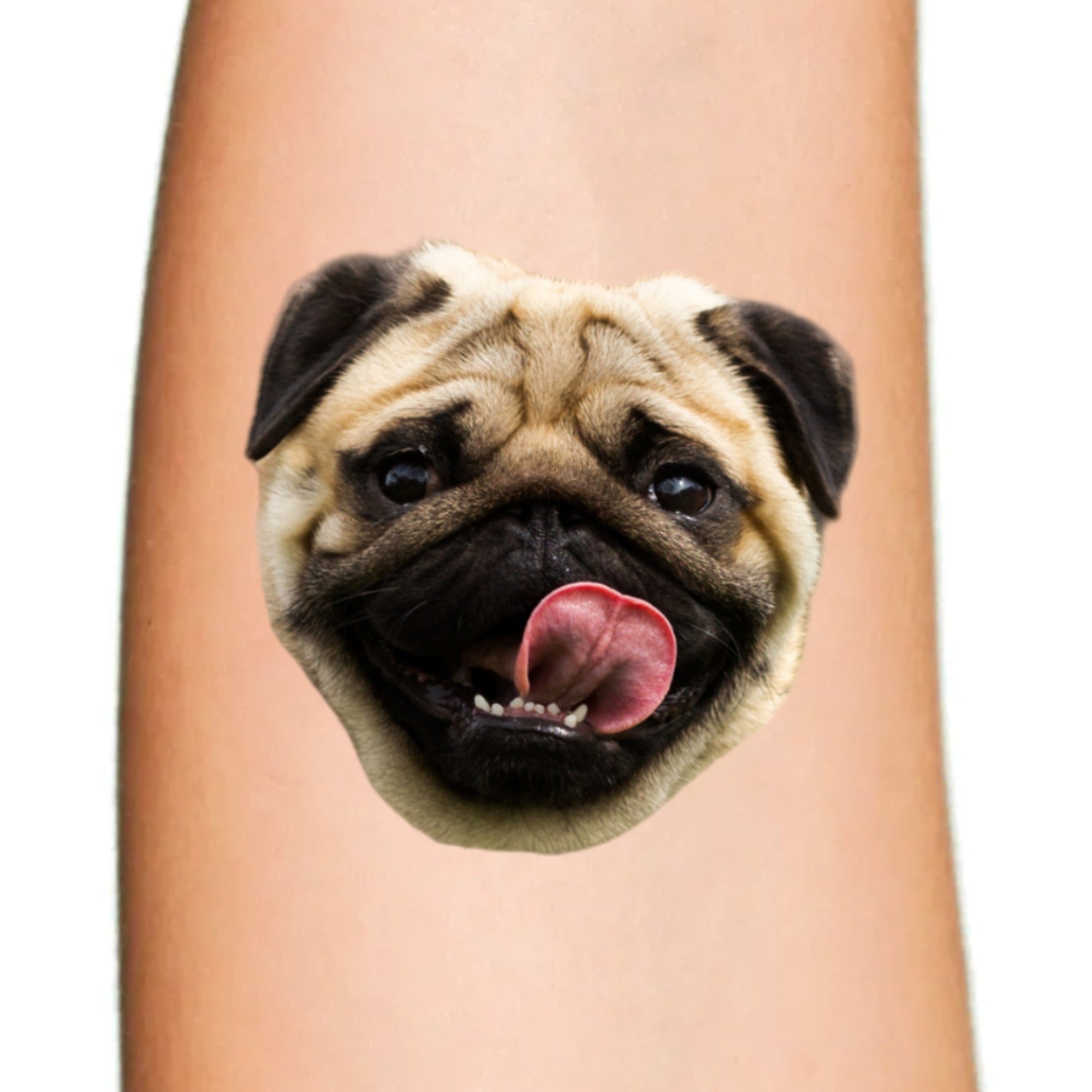 Pet-Themed Temporary Tattoos for Dog and Cat Lovers