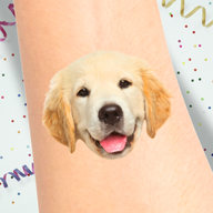 My Parents are Meowied!